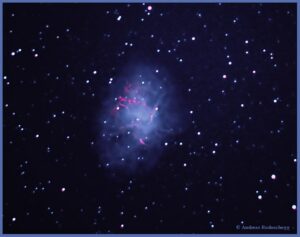M1